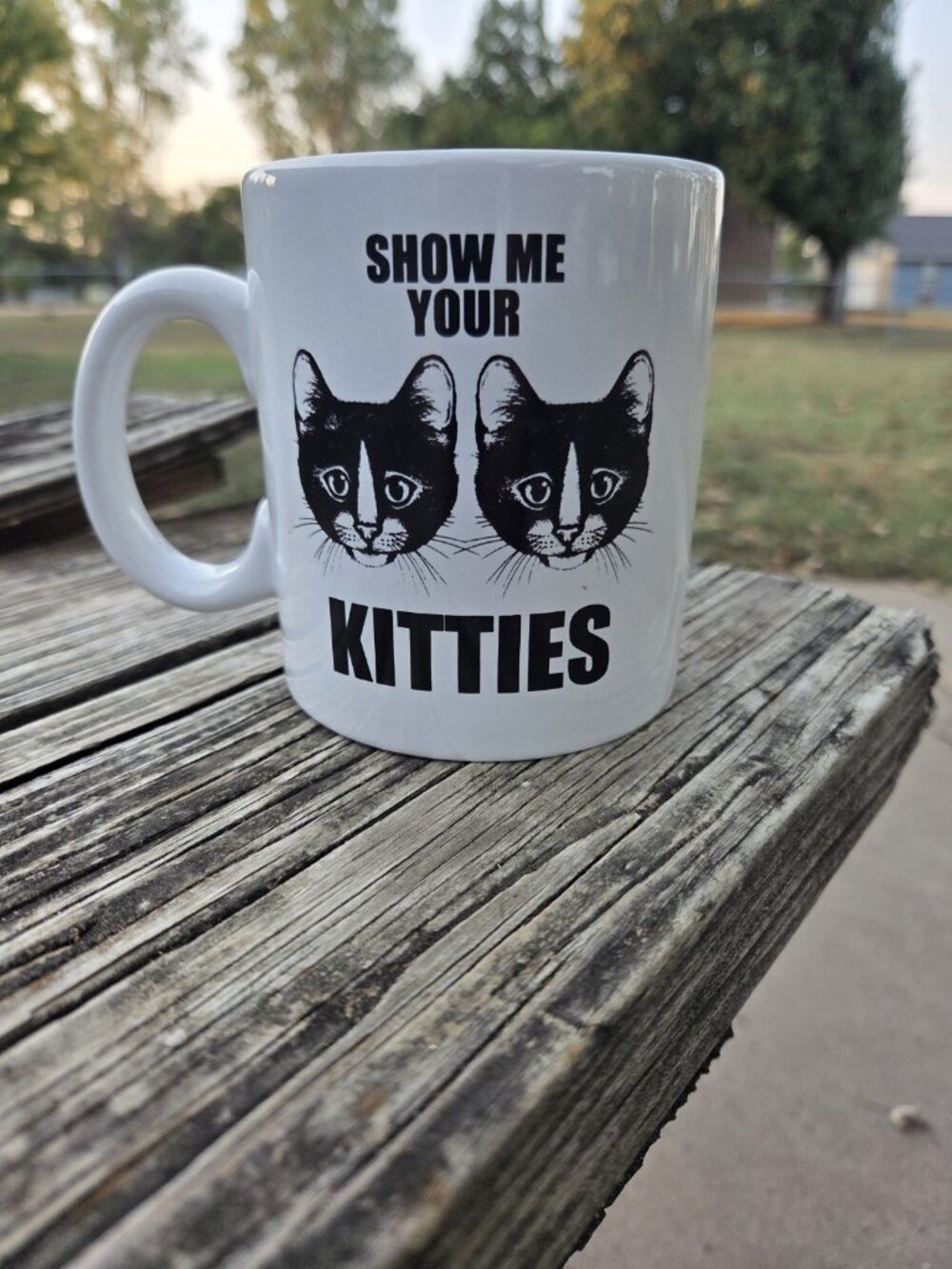 Show Me Your Kitties Coffee Mug Cup Funny Novelty